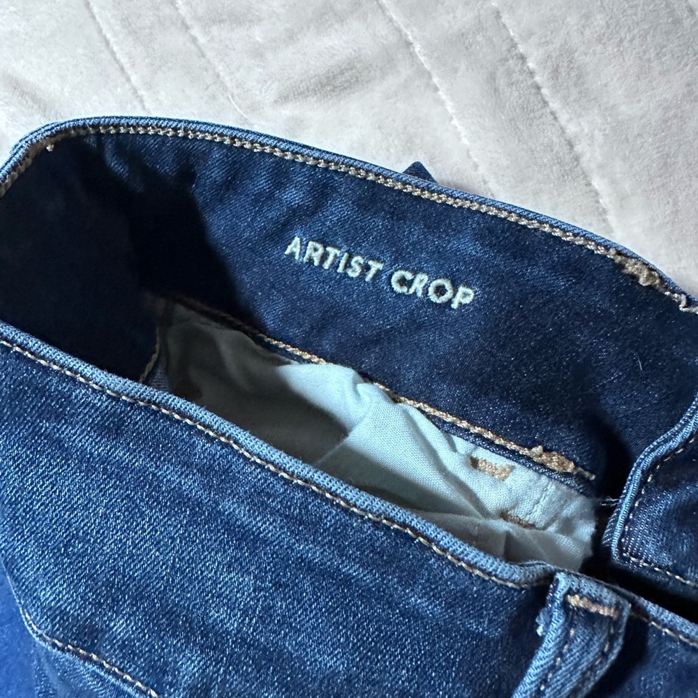 Size 8 American Eagle Artist crop regular